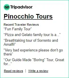 Trip Advisor Reviews